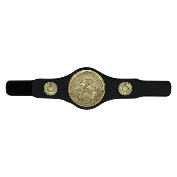 Champion Belt Kickboxing Trophy Trophy HQ
