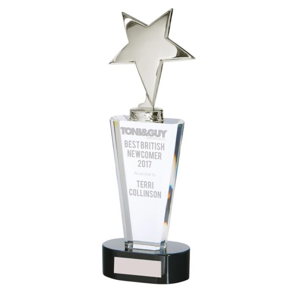 Chicago Crystal and Chrome Trophy Trophy HQ