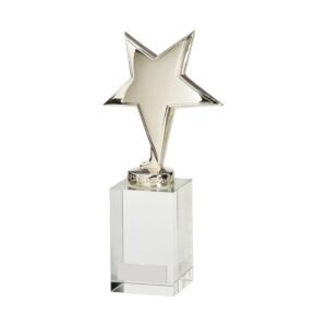 Dallas Crystal and Chrome Trophy Trophy HQ