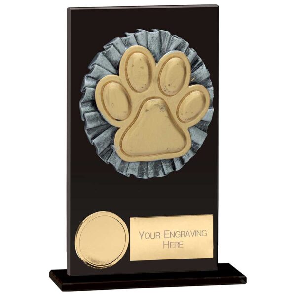 Euphoria Hero Dog Agility Glass Award Trophy HQ