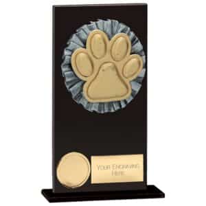 Euphoria Hero Dog Agility Glass Award Trophy HQ