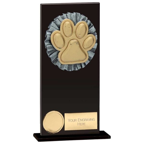 Euphoria Hero Dog Agility Glass Award Trophy HQ