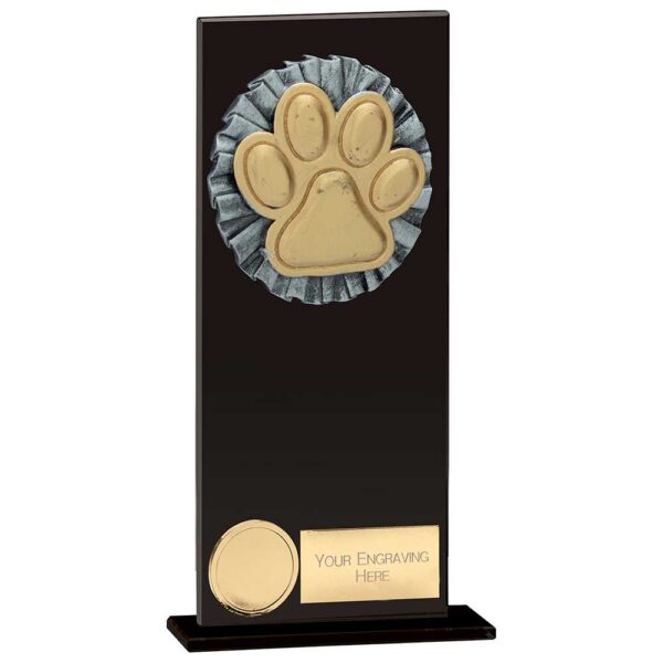 Euphoria Hero Dog Agility Glass Award Trophy HQ