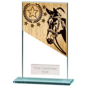Mustang Equestrian Jade Glass Award Trophy HQ