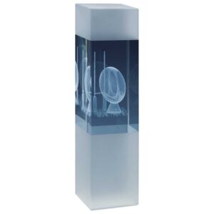 Arctic Blast Rugby Crystal Award Trophy HQ