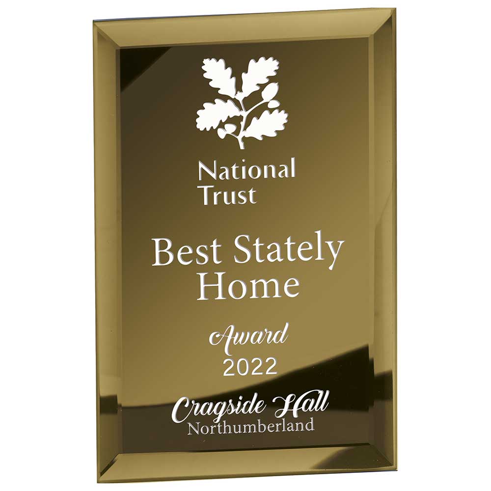 Mirage Gold Mirrored Glass Plaque Mirage Gold Mirrored Glass Plaque - Image 4