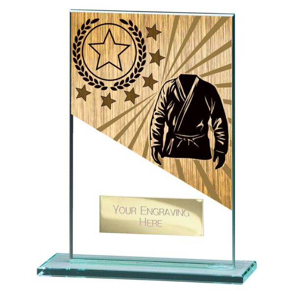 Mustang Martial Arts Jade Glass Award Trophy HQ
