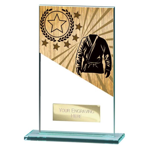 Mustang Martial Arts Jade Glass Award Trophy HQ