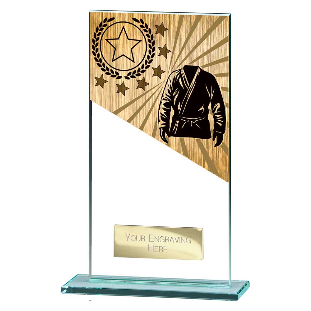 Mustang Martial Arts Jade Glass Award Trophy HQ Mustang Martial Arts Jade Glass Award Trophy HQ