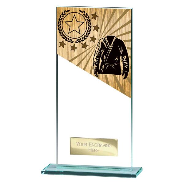 Mustang Martial Arts Jade Glass Award Trophy HQ
