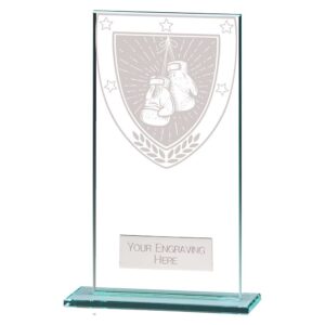 Millennium Boxing Jade Glass Award Trophy HQ