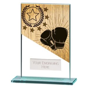 Mustang Boxing Jade Glass Award Trophy HQ