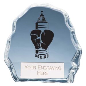 Mystique Boxing Glass Award Trophy HQ