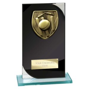 Seismic Cobra Cricket Black and Silver Trophy HQ