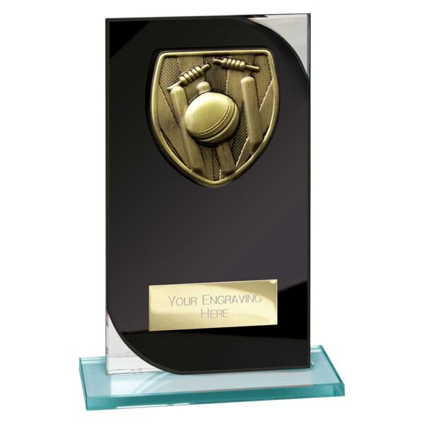 Seismic Cobra Cricket Black and Silver Trophy HQ