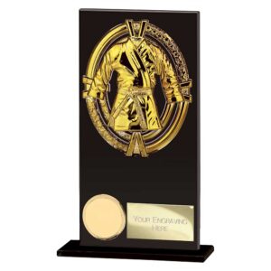 Maverick Fusion Martial Arts Black Glass Trophy HQ