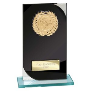 Seismic Multi Award Glass Black and Silver Trophy HQ