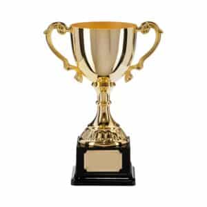 Gold Plated Trophy Cups