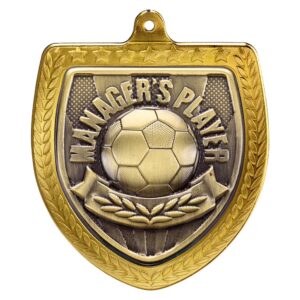 Cobra Football Managers Player Shield Medal Trophy HQ