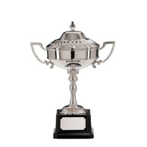 Sterling Nickel Plated Trophy Cup Trophy HQ