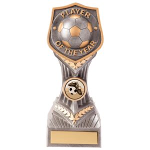 Falcon Football Player of the Year Trophy Trophy HQ