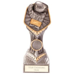 Falcon Boxing Glove Trophy Trophy HQ