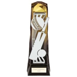 Shard Cricket Trophy Trophy HQ