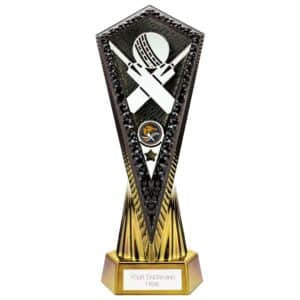 Inferno Cricket Trophy Trophy HQ