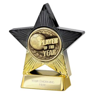 Superstar Player of Year Trophy Trophy HQ