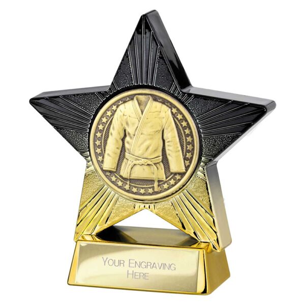 Superstar Martial Arts Trophy Trophy HQ