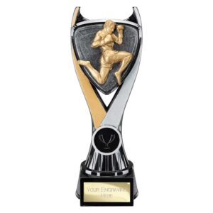 Kickboxing Trophies