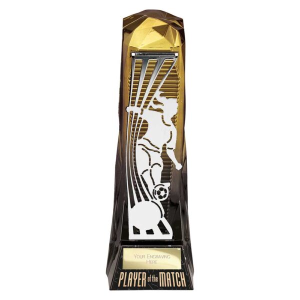 Shard Football Female Player of Match Trophy HQ