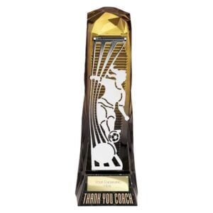 Shard Football Female Thank You Coach Trophy HQ