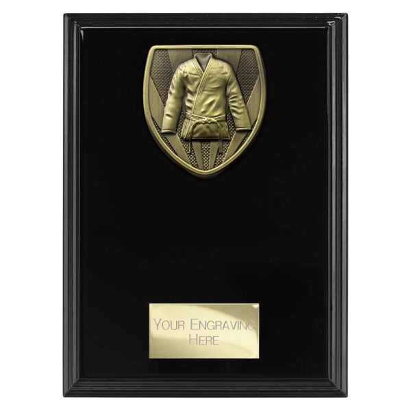 Cobra Plaque Martial Arts Gi Black Trophy HQ