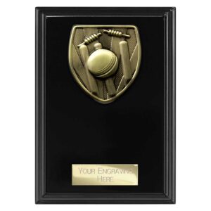 Cobra Plaque Cricket Black Trophy HQ