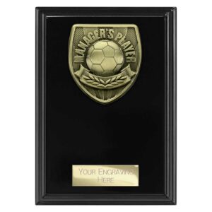 Cobra Plaque Managers Player Black Trophy HQ