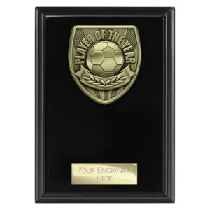 Cobra Plaque Player of Year Black Trophy HQ