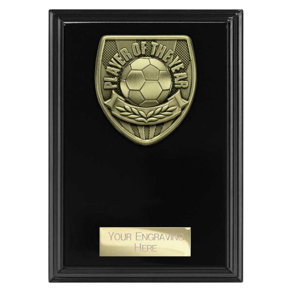 Cobra Plaque Player of Year Black Trophy HQ