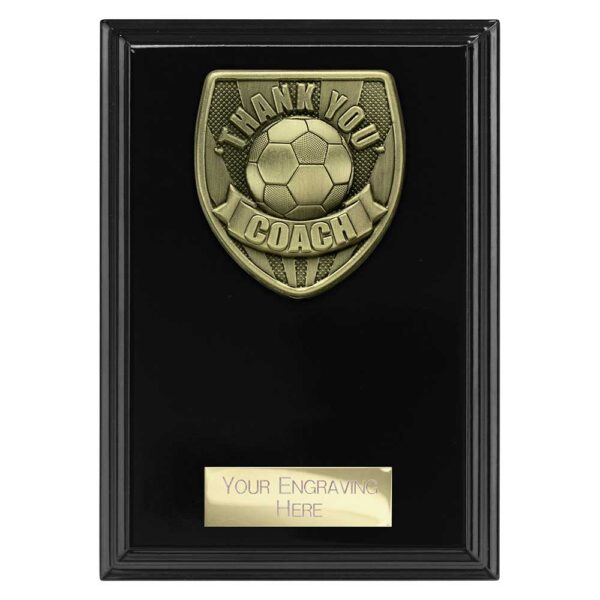 Cobra Plaque Thank you Coach Black Trophy HQ