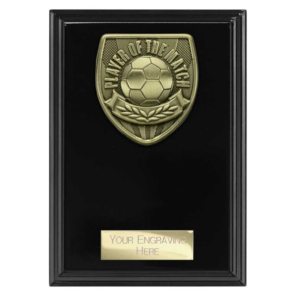Cobra Plaque Player of Match Black Trophy HQ