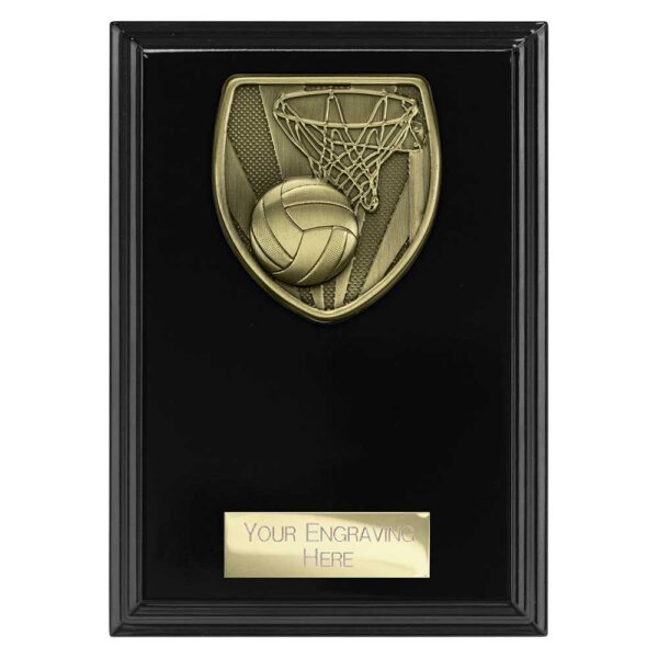Cobra Plaque Netball Black Trophy HQ