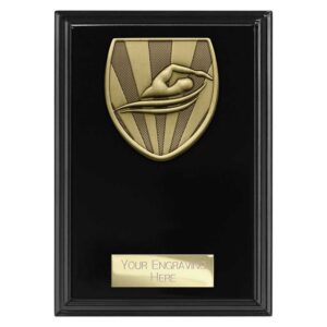 Cobra Plaque Swimming Black Trophy HQ