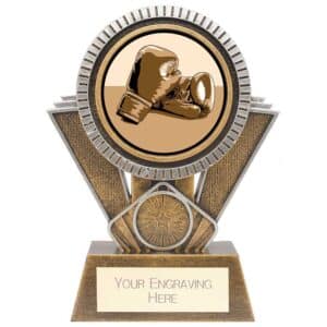 Apex Boxing Trophy Trophy HQ