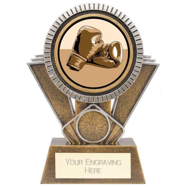 Apex Boxing Trophy Trophy HQ