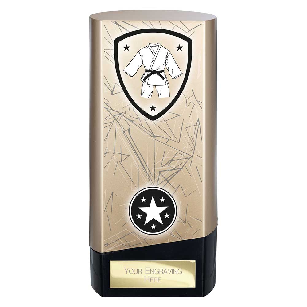 Prime Martial Arts Trophy Black and Gold Trophy HQ Prime Martial Arts Trophy Black and Gold Trophy HQ