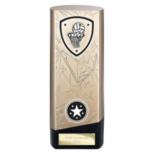 Prime Netball Trophy Black and Gold Trophy HQ