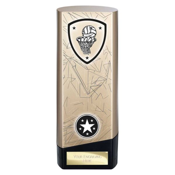 Prime Netball Trophy Black and Gold Trophy HQ