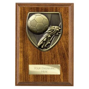 Cobra Plaque Football Boot and Ball Walnut Trophy HQ