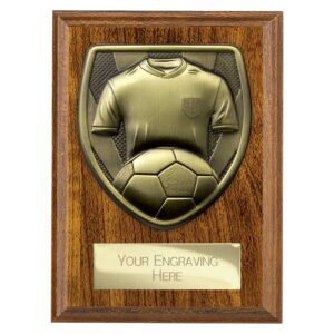 Cobra Plaque Football Shirt and Ball Walnut Cobra Plaque Football Shirt and Ball Walnut Trophy HQ