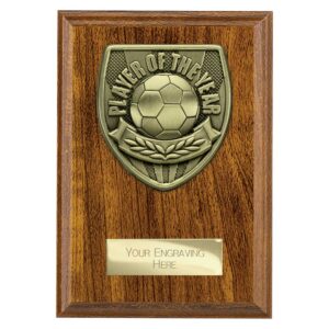 Cobra Plaque Player of Year Walnut Trophy HQ